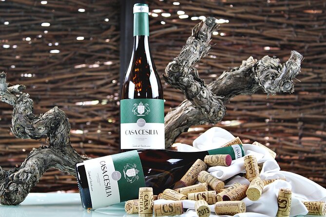 Alicante: Old Winery with Tastings & Gaudí's style of Church - Starting from Alicante with a small group