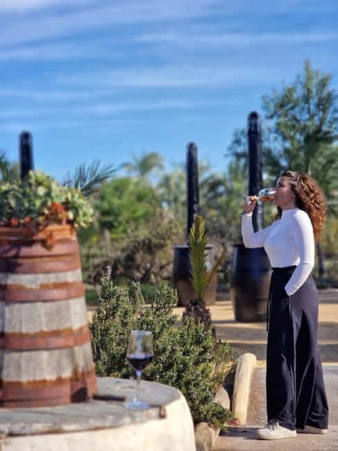 Alicante; Wine Tour, Wineries, Food and Transfer included - Four wines and tapas from Monday to Saturday