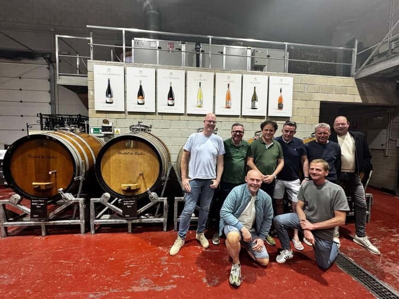 Alicante; Wine Tour, Wineries, Food and Transfer included - Leaving Alicante in a small group