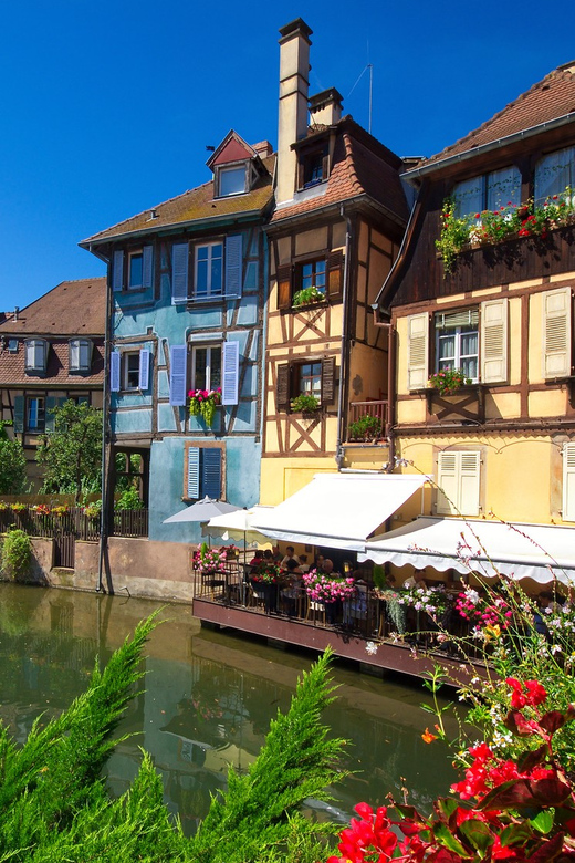 Alsace: Full-Day Wine Tour & Tastings from Strasbourg - What the guide adds to the day