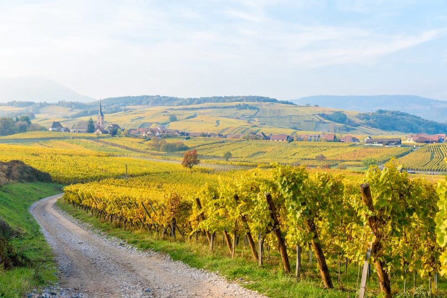 Alsace: Full-Day Wine Tour & Tastings from Strasbourg - Mittelbergheim and the first tasting