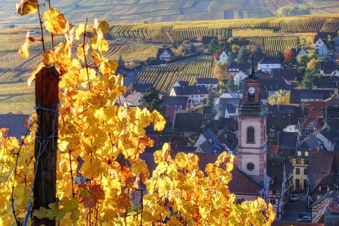 Alsace: Half-Day Wine Tour from Colmar - Key points to know before booking