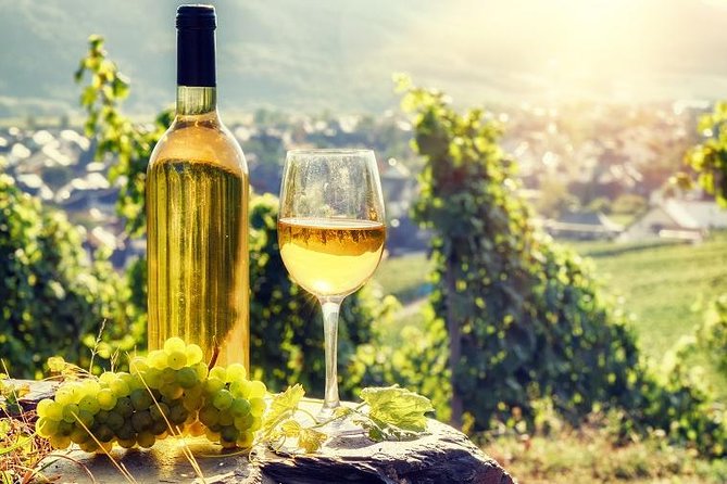 Alsace: Half-Day Wine Tour from Colmar - A short afternoon on Alsace’s wine road