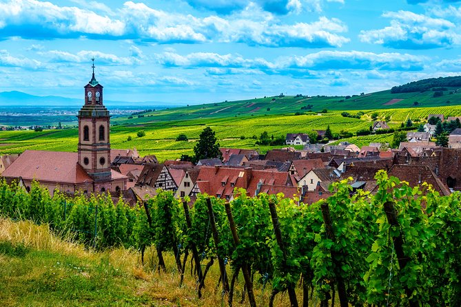 Alsace: Half-Day Wine Tour from Colmar - Riquewihr, the Pearl of the Vineyard