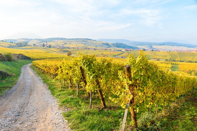 Alsace: Half-Day Wine Tour from Colmar - Is $112 a fair price?