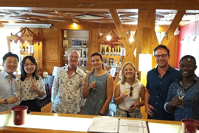 Alsace wine tour and medieval villages. Small group guided tour - Key things to know before booking