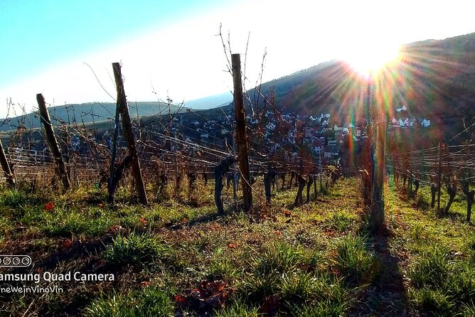 Alsace wine tour and medieval villages. Small group guided tour - Who will get the most from this tour