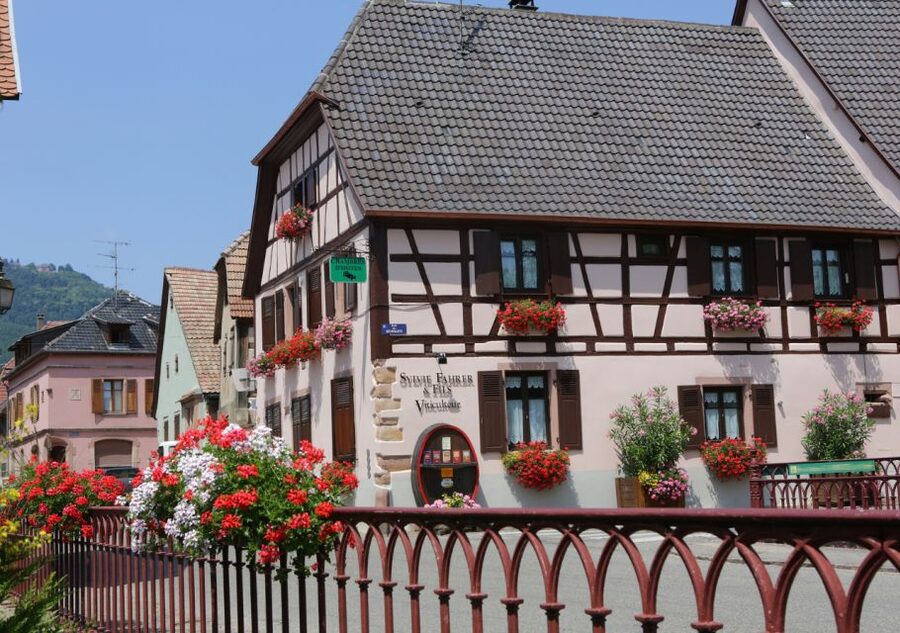 Alsace: Winery Tour and Alsatian Wine Tasting ENGLISH - Getting to the Winery From Sélestat or Colmar