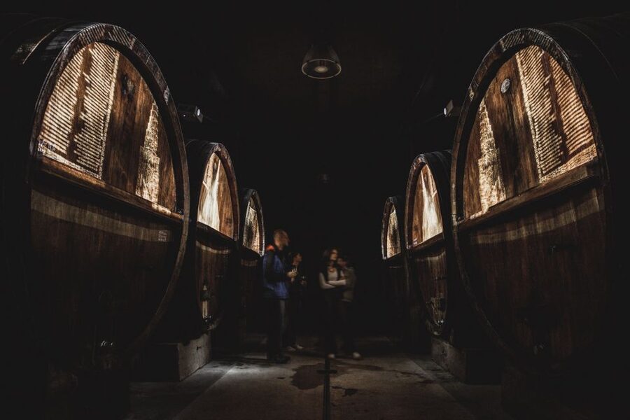 Alsatian Guided Wine Tasting and Immersive wine cellar tour - A family winery with more than a standard tasting