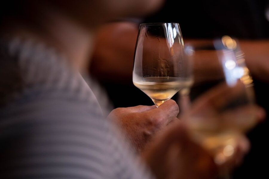 Alsatian Guided Wine Tasting and Immersive wine cellar tour - The 180-degree film on the oak