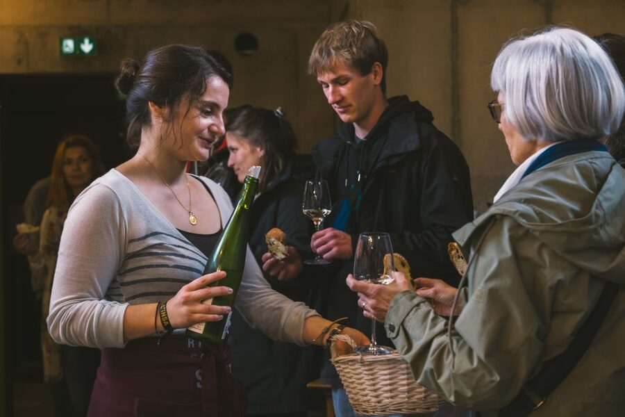 Alsatian Guided Wine Tasting and Immersive wine cellar tour - How the 90-minute visit unfolds