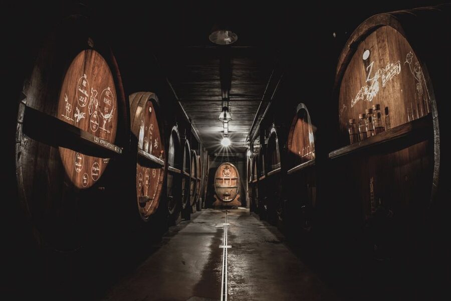 Alsatian Guided Wine Tasting and Immersive wine cellar tour - Language, booking, and small practical details