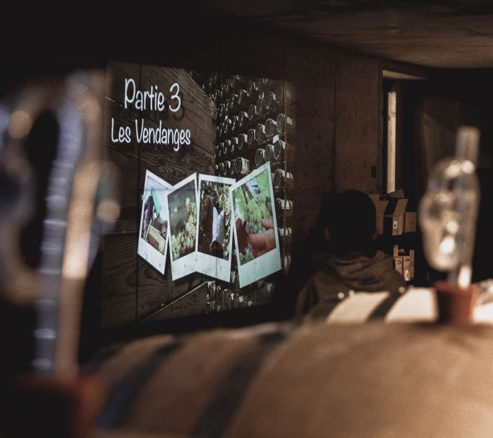 Alsatian Guided Wine Tasting and Immersive wine cellar tour - Should you book Vins Zeyssolff?
