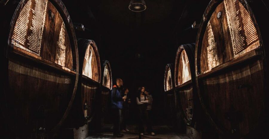 Alsatian Guided Wine Tasting and Immersive wine cellar tour - The 1850 barrels and the 1900 exhibition cask