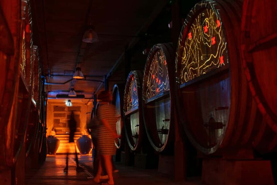 Alsatian Immersive Wine Tour, Wine Tasting & Alsatian lunch - Key points at a glance