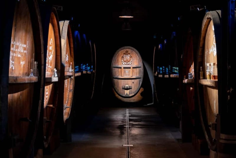 Alsatian Immersive Wine Tour, Wine Tasting & Alsatian lunch - Tasting Alsace in the glass