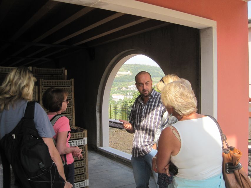 Amarone Wine Tour & Tasting from Venice, Padua or Verona - Comparing two producers instead of chasing a famous label