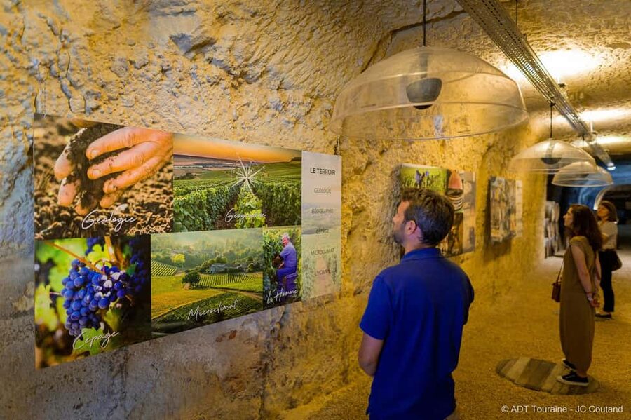 Amboise: Caves Ambacia Visit and Wine Tasting - How the guides shape the experience