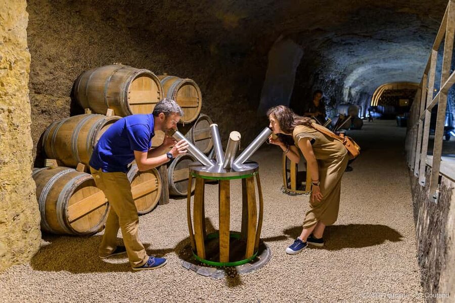 Amboise: Caves Ambacia Visit and Wine Tasting - Planning your visit in Amboise