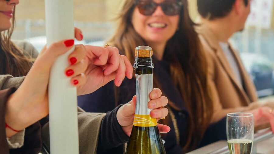 Amsterdam: Dutch Prosecco Party Bike - Starting at Rhoneweg 1 in west Amsterdam
