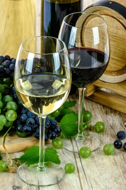 Aperitive guided cruise « Wine and Canelé » - Is $22 a good price?