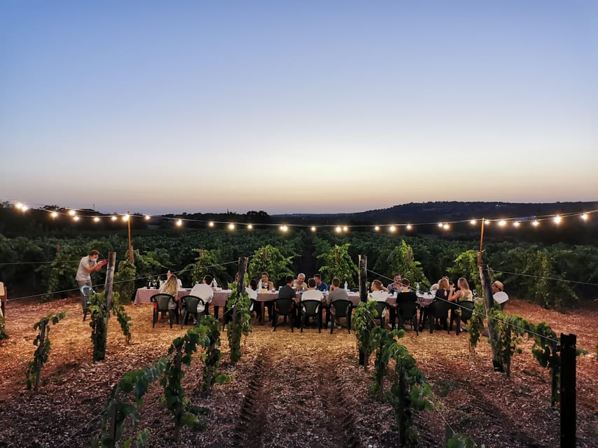 Apulia: Guided Wine Tasting with Local Appetizers - Key points to know before booking