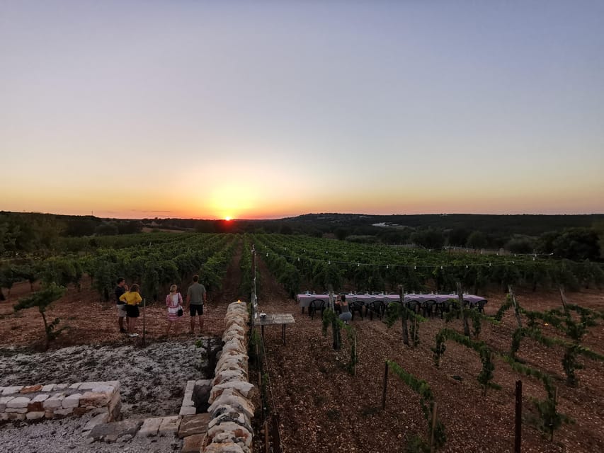 Apulia: Guided Wine Tasting with Local Appetizers - Arriving at Vigna il Castagno in the Itria Valley