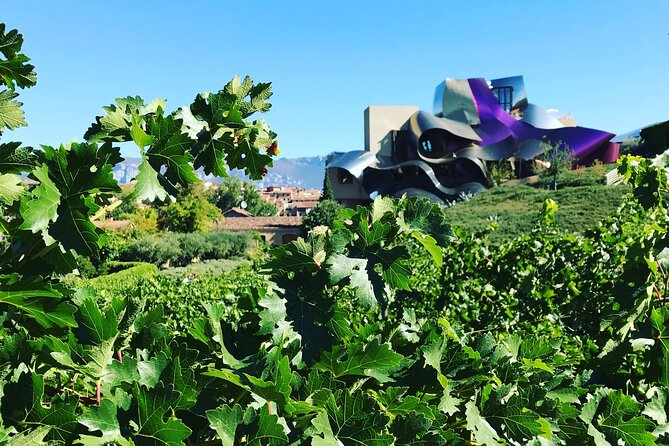 Architectural Rioja Small Group Wine Tour with Lunch from Bilbao - What the guides add to the day