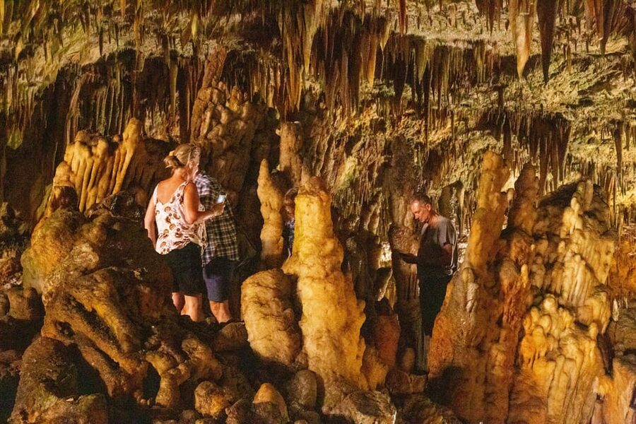 Argostoli: Melissani & Drogarati Cave Tour with Wine Tasting - Who should book this experience?