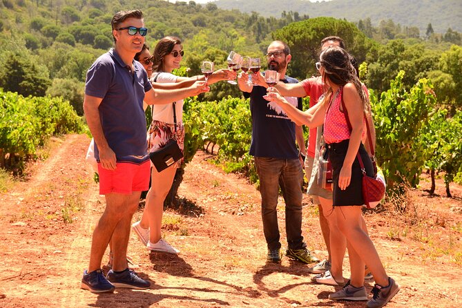 Arrabida and Sesimbra Small-Group Day Trip from Lisbon with Wine Tasting - Quinta do Alcube, a different kind of tasting