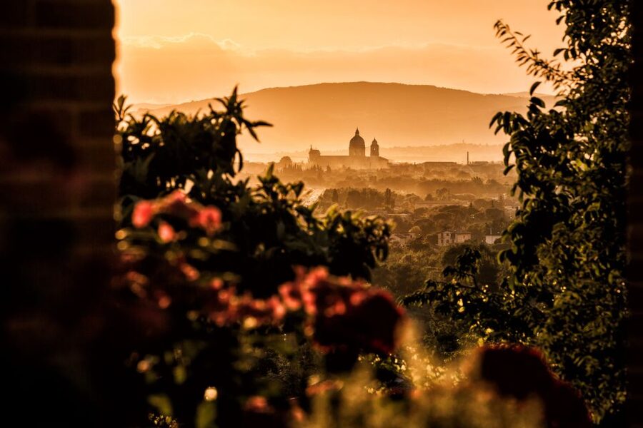 Assisi: Organic Balsamic Vinegar, Olive Oil & Wine Tour - The first 80 minutes: vines, cellar, and balsamic