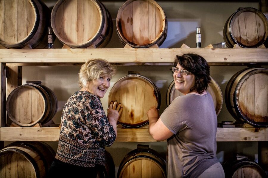Assisi: Organic Wine and Cheese Tasting - Key points to know before you book