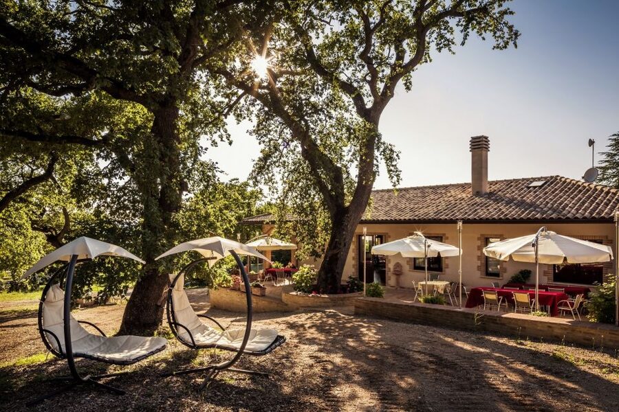 Assisi: Organic Wine and Cheese Tasting - Understanding organic wine without a lecture