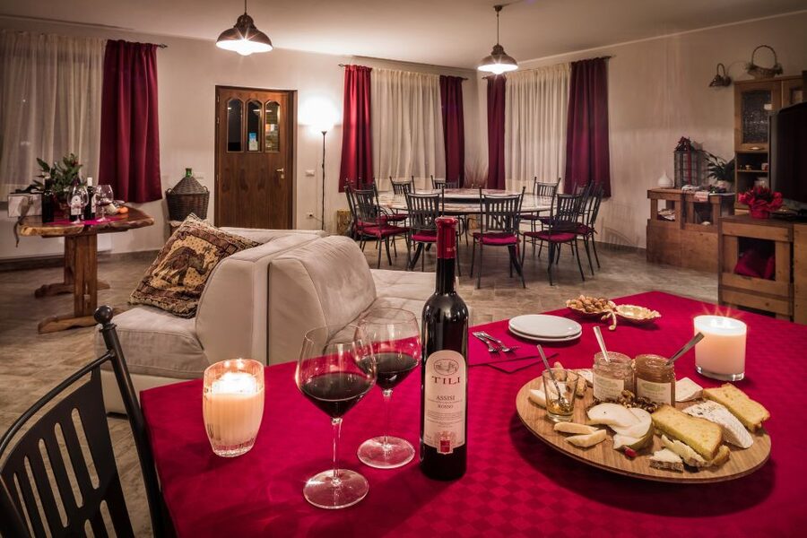Assisi: Organic Wine and Cheese Tasting - The valley views and olive groves