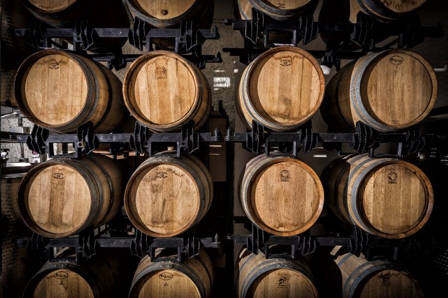 Assisi: Organic Wine and Cheese Tasting - What to take home from Tili 21