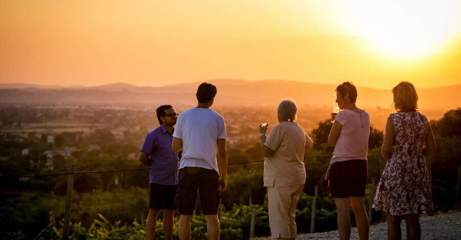 Assisi: Organic Winery Tour with Tastings & Typical Food - Why this small winery visit works so well