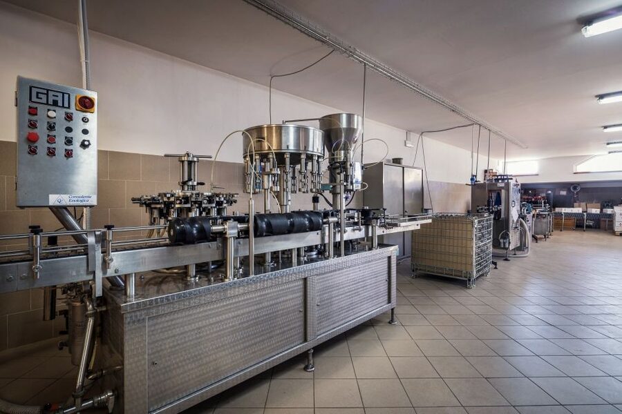 Assisi: Organic Winery Tour with Tastings & Typical Food - From vineyard to bottle in one hour