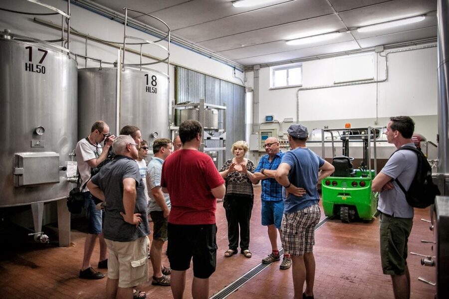 Assisi: Organic Winery Tour with Tastings & Typical Food - Five wines with a full Umbrian spread
