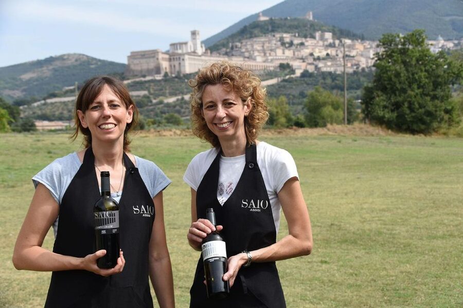 Assisi: Wine tasting, gourmet pairing, walk in the vineyards - Key points to know before booking