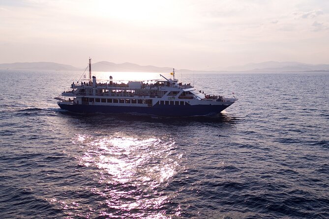 Athens: Island Swimming Day Cruise—DJ, Lunch & Drinks incl. - The DJ changes the mood on the way home