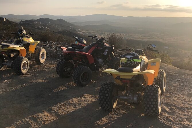 ATV Off-Road Adventure through Valle de Guadalupe + Winery Visit - What the winery stop really includes