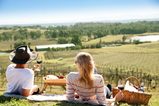 Audrey Wilkinson Vineyard: Picnic with Wine Masterclass Tasting - Why the picnic changes the usual cellar-door visit