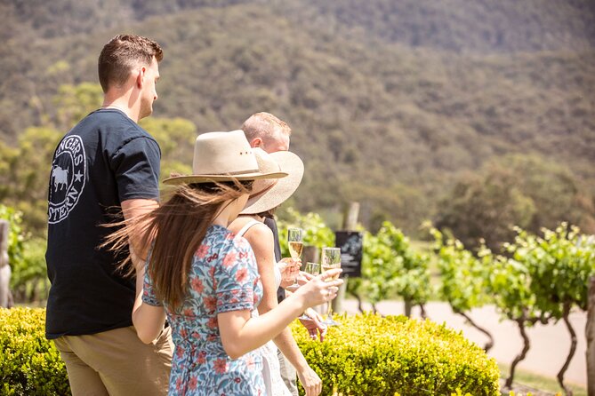 Audrey Wilkinson Vineyard: Picnic with Wine Masterclass Tasting - What you are likely to taste and receive