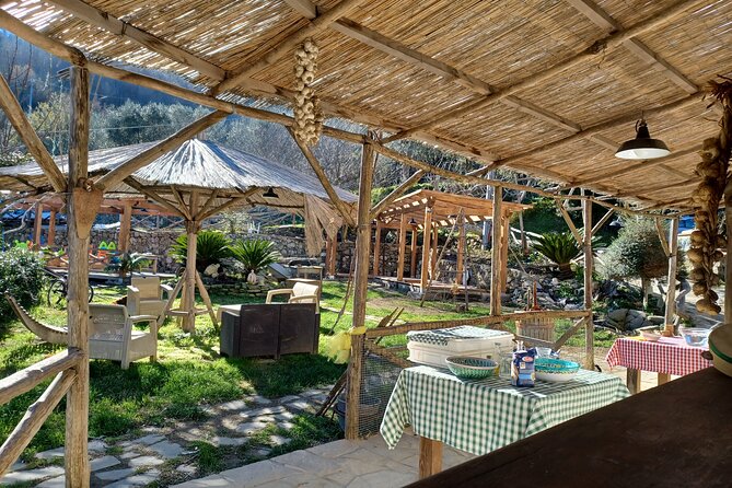 Authentic Farm Tour with Pizza, Cheese, Wine & Limoncello Tasting - Walking through vines, olives, lemons, and animals