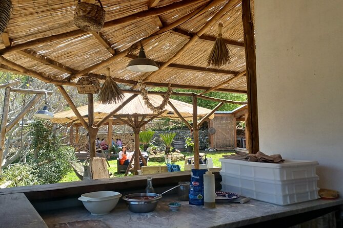 Authentic Farm Tour with Pizza, Cheese, Wine & Limoncello Tasting - The views add real value