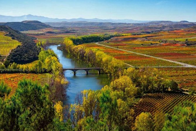 Authentic Rioja Wine Experience - Key points at a glance