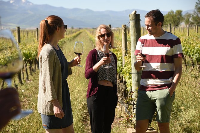 Authentic Rioja Wine Experience - Why the old and new Rioja pairing works