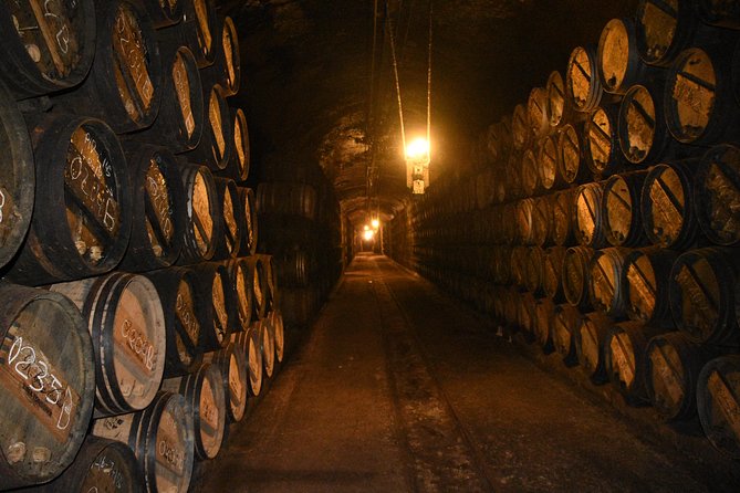 Authentic Rioja Wine Experience - Tastings that teach rather than simply pour