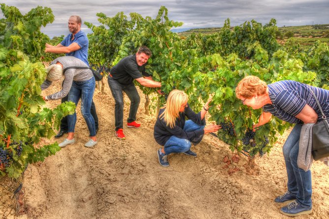 Authentic Rioja Wine Experience - Is $399.25 a fair price?