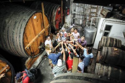 Authentic Small Group Douro Wine Tour with Lunch & River Cruise